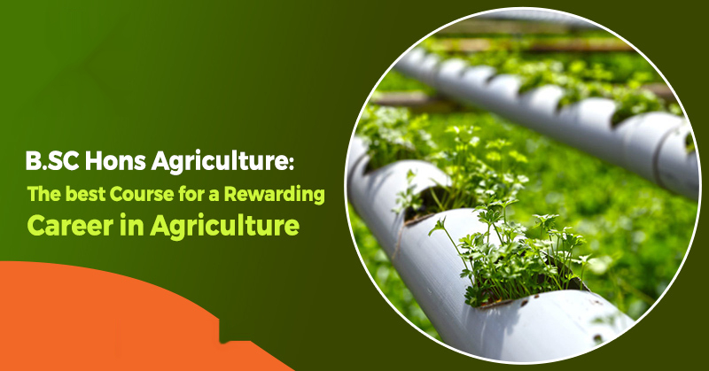 B.Sc(Agriculture)<br>M.Sc(Agriculture)<br>MBA(Agribusiness)